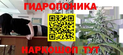 a pvp Гусиноозёрск