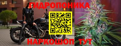 a pvp Гусиноозёрск